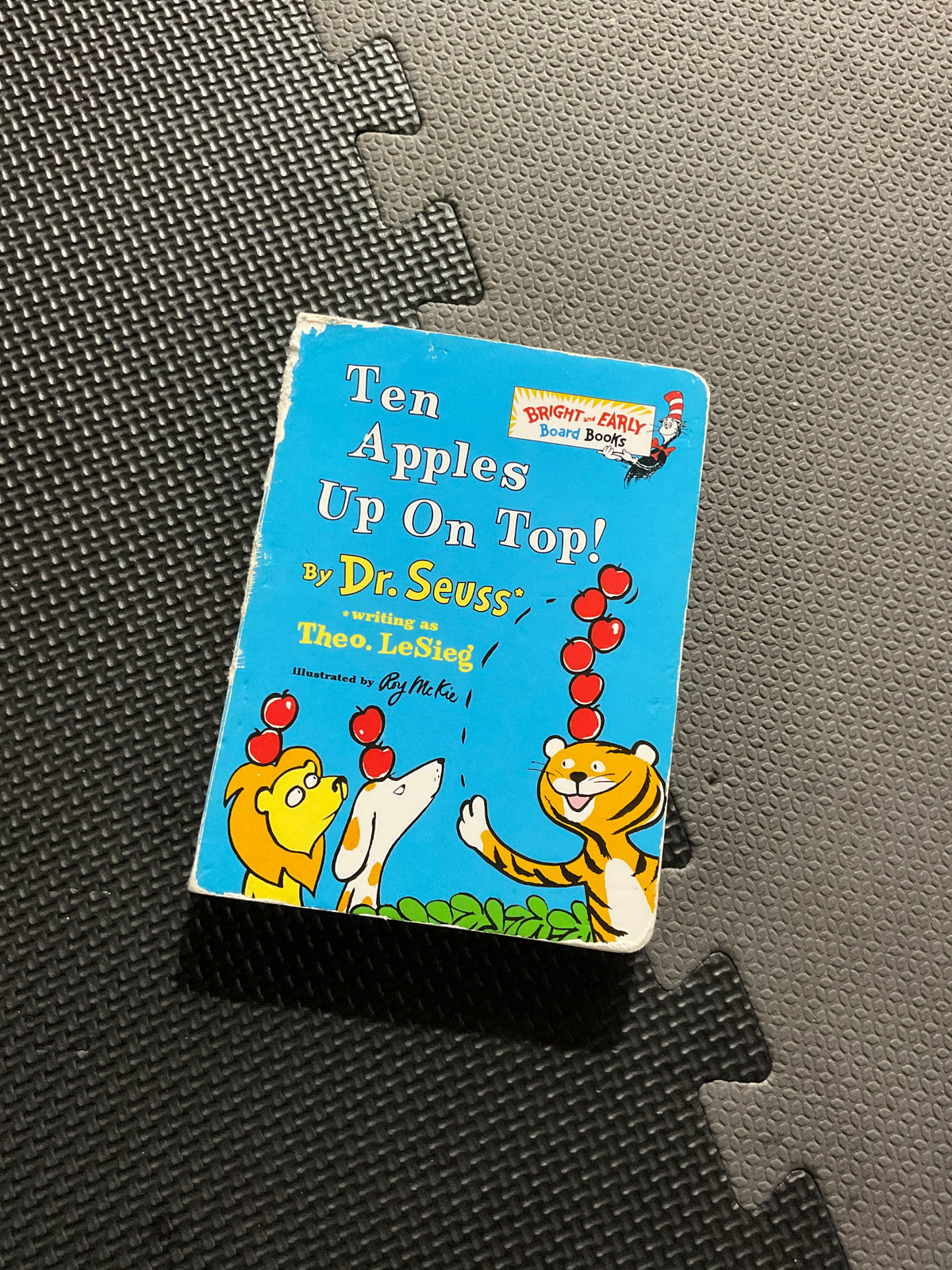 Ten Apples Up Top