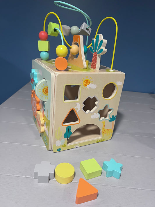 Wooden Activity Cube
