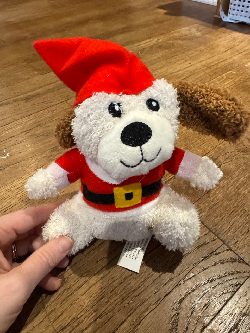 Mini santa dog