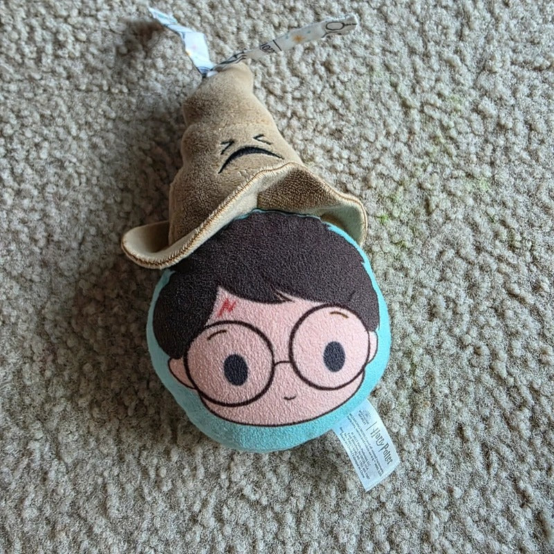 Mirror Baby Toy Harry Potter