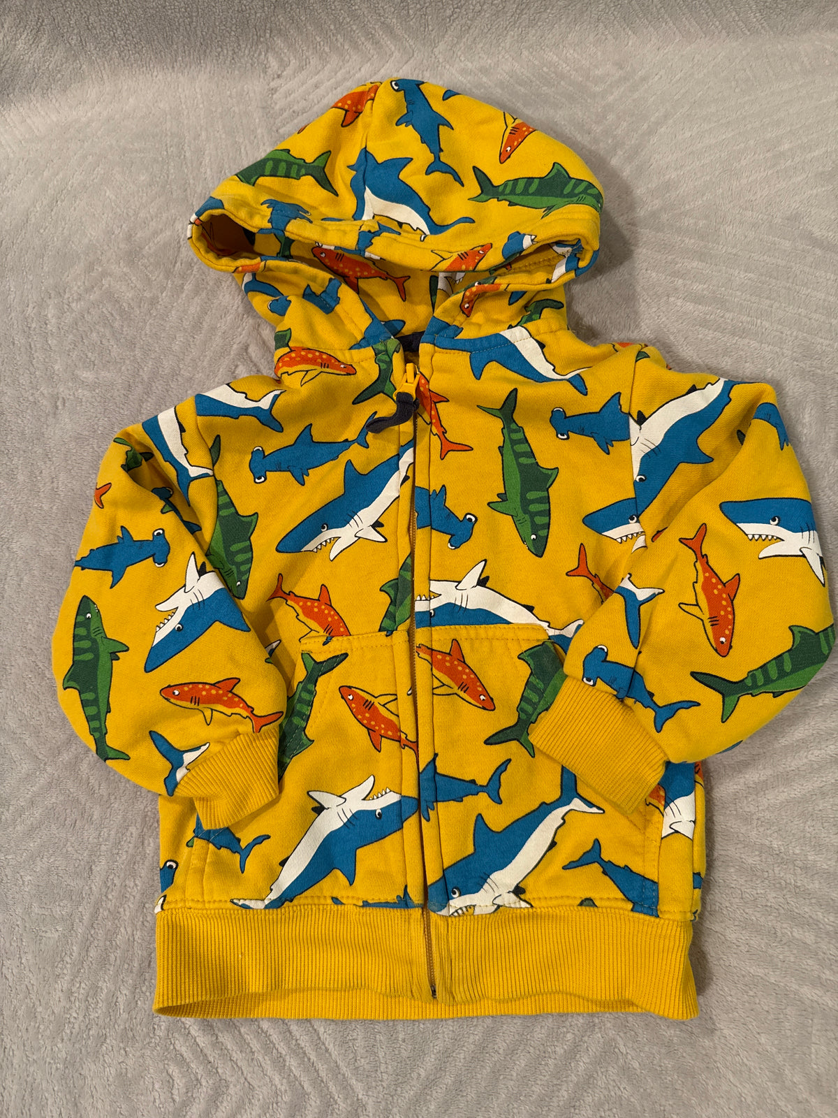 Shark Zip up Hoodie Falls Creek Kids 18m - size Month - 12-18 / 18M