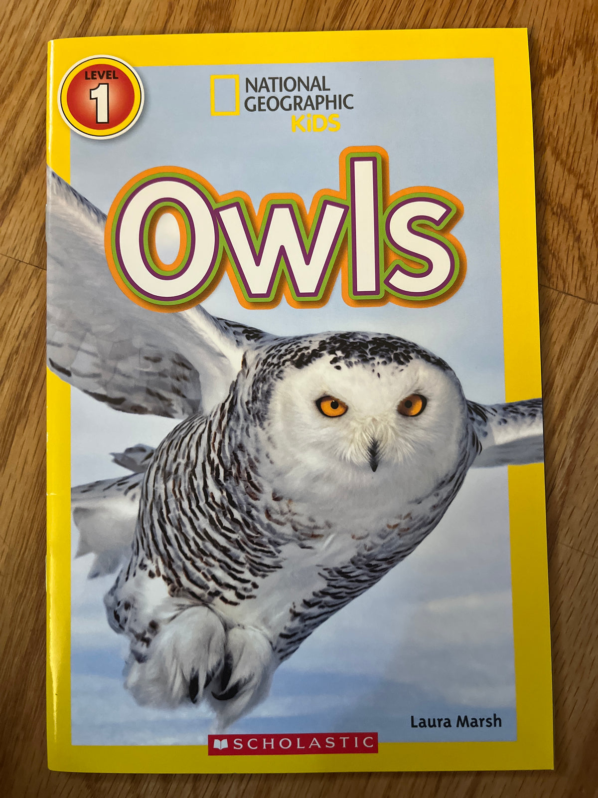 Owls -Level 1 National Geographic Kids