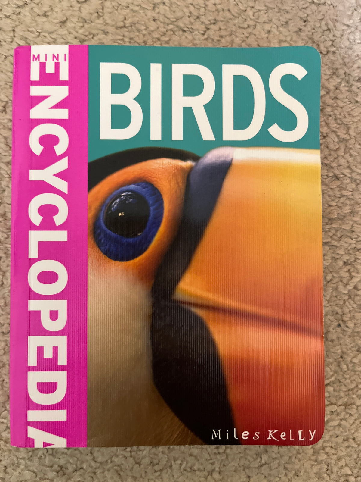 Birds -Mini Encyclopedia Miles Kelly