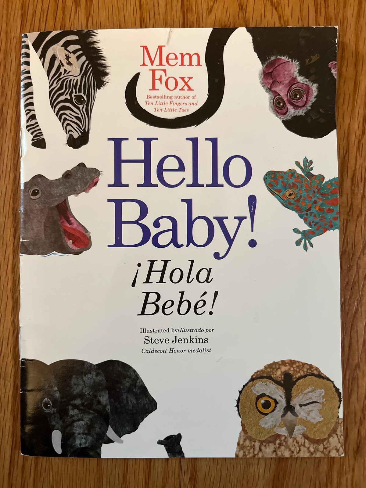 Hello Baby!/Hola Bebe! English/Spanish book
