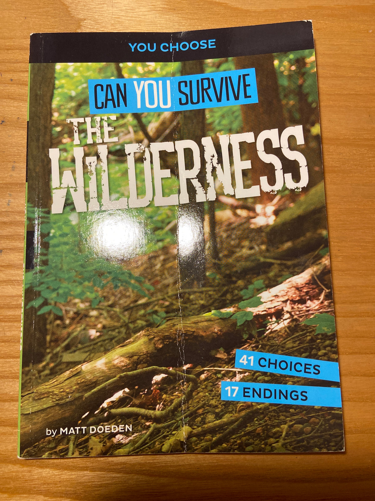 *You Choose can you Survive the wilderness