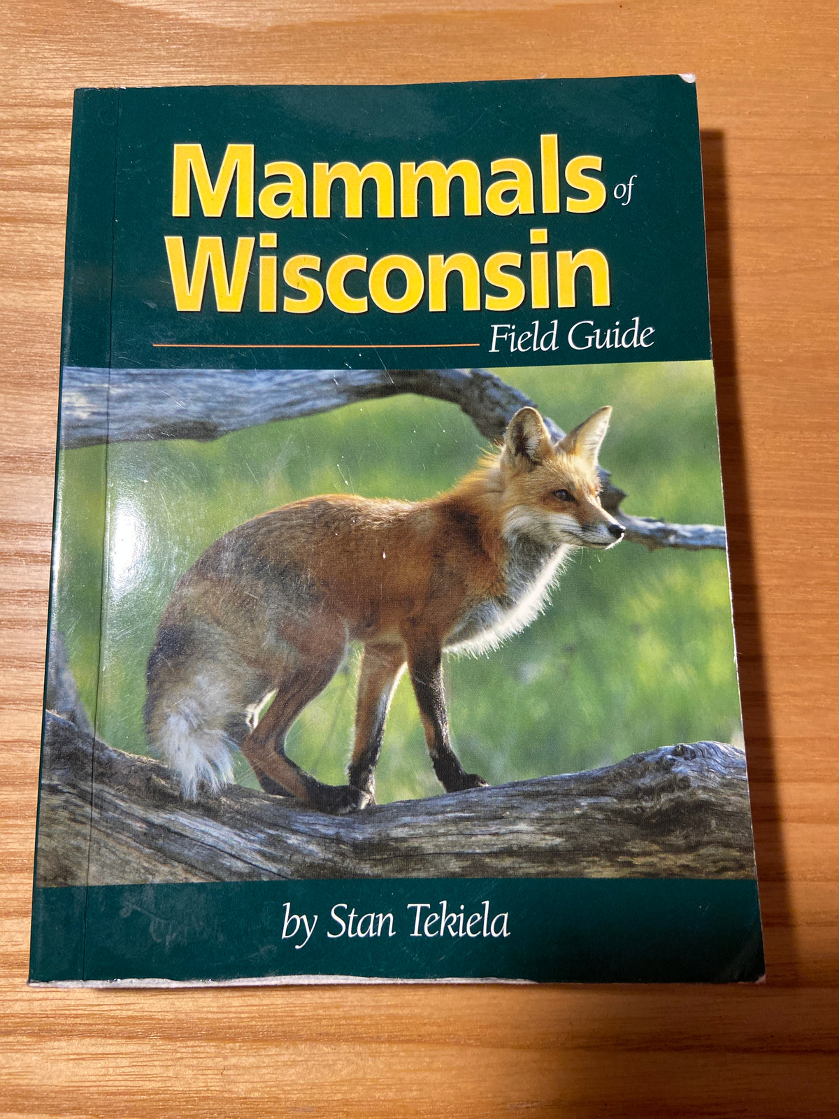 *Mammals of Wisconsin Field guide
