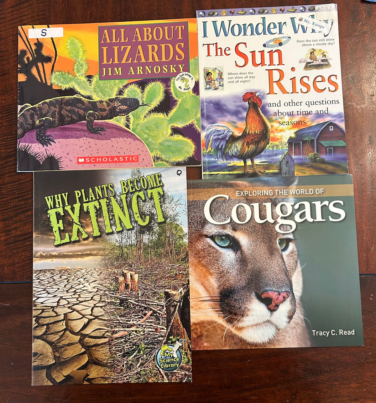 COUGARS, LIZARDS, PLANTS WHY THINGS GO EXTINCT