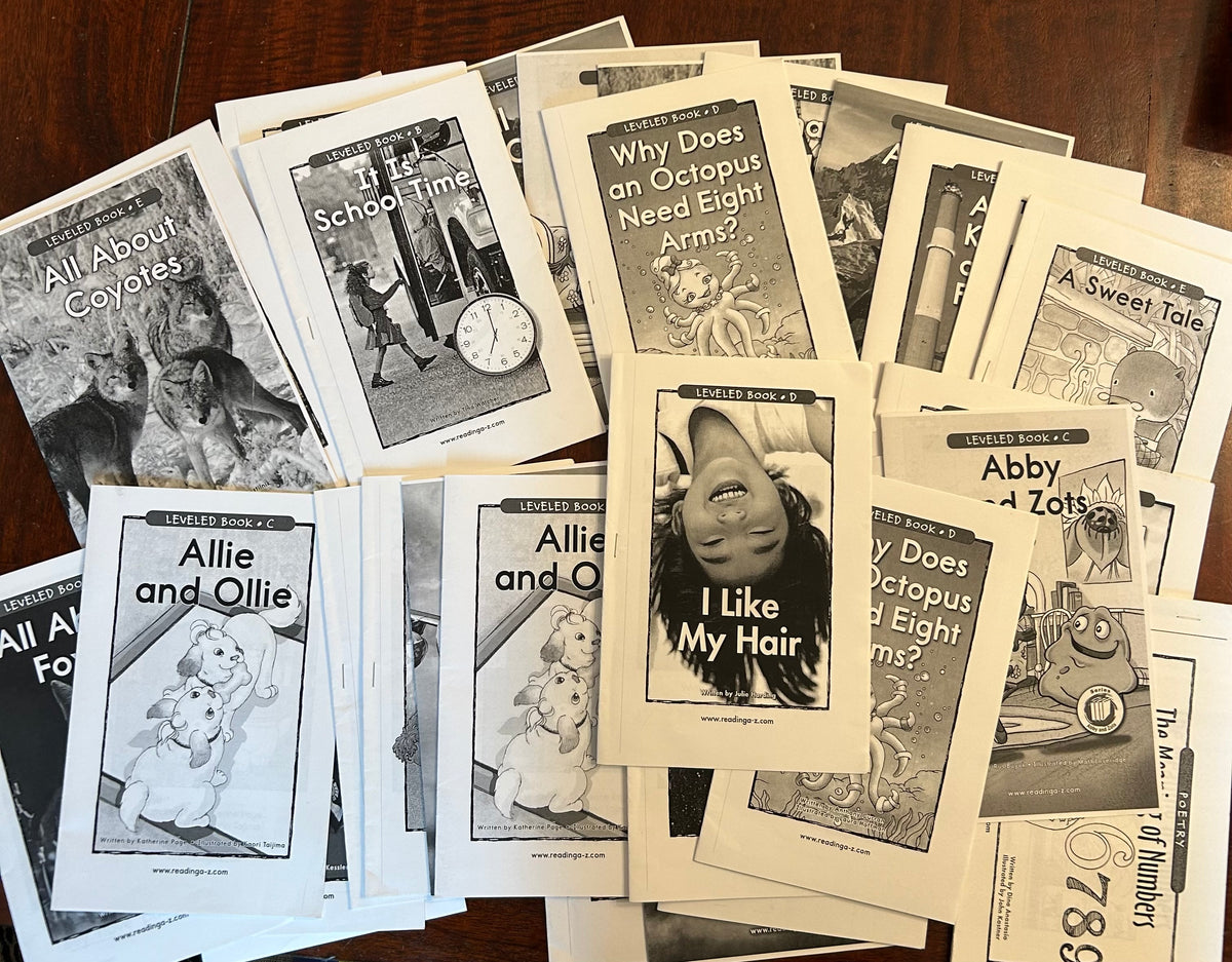 X33 BOOKS OF VARIOUS LEV BOOKS EARLY READER