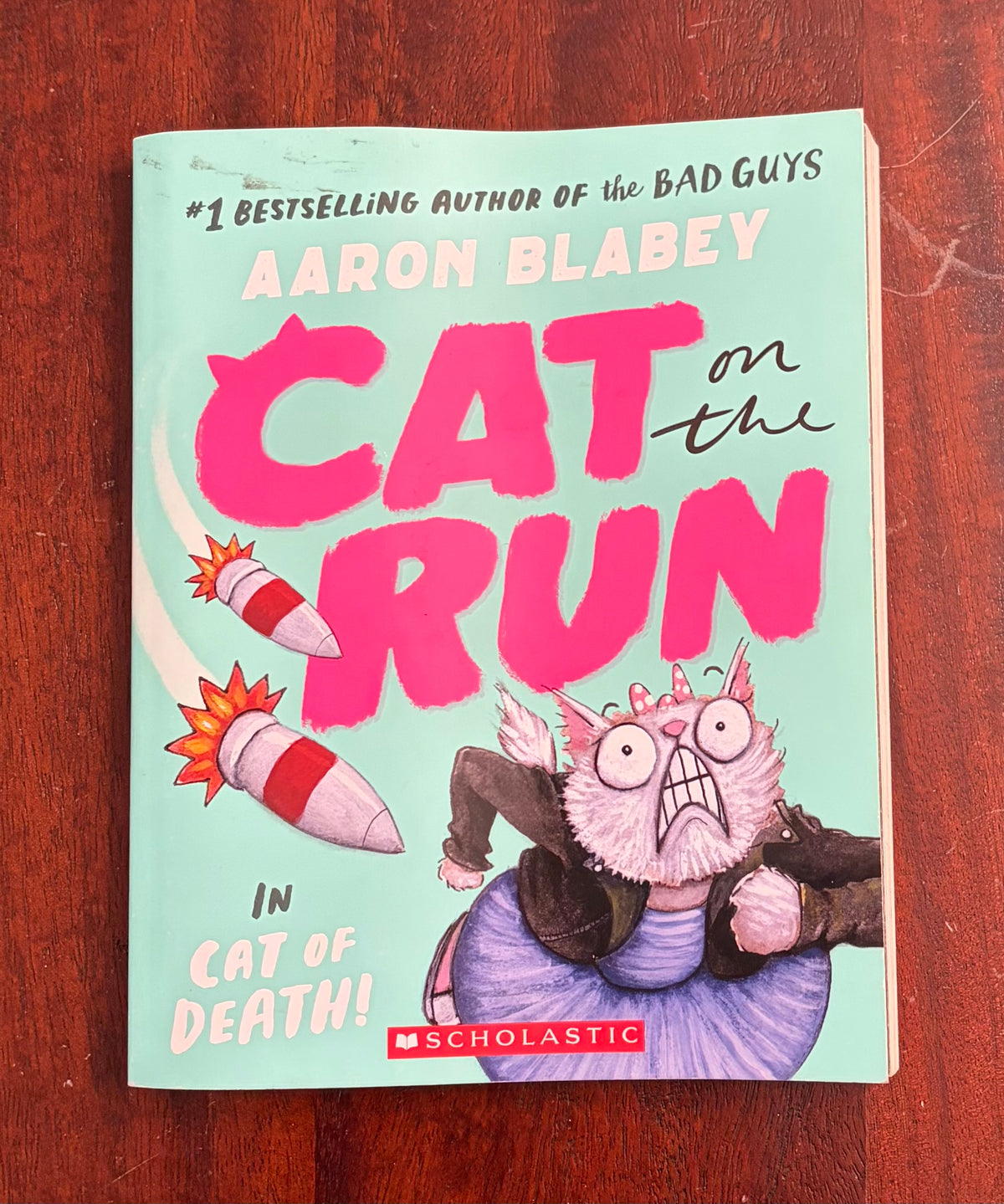 CAT ON THE RUN