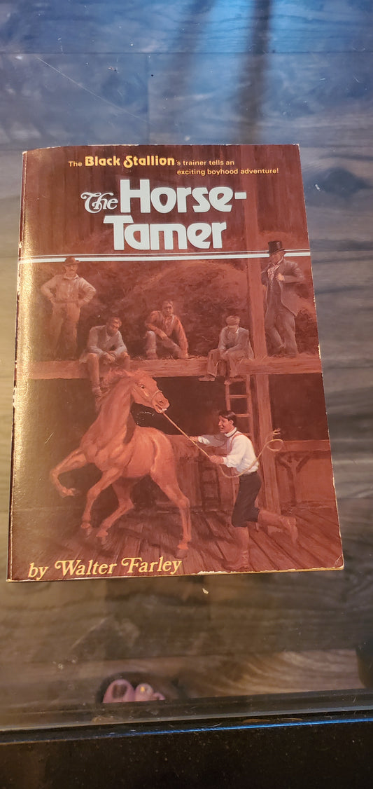 The Horse Tamer Black Stallion series