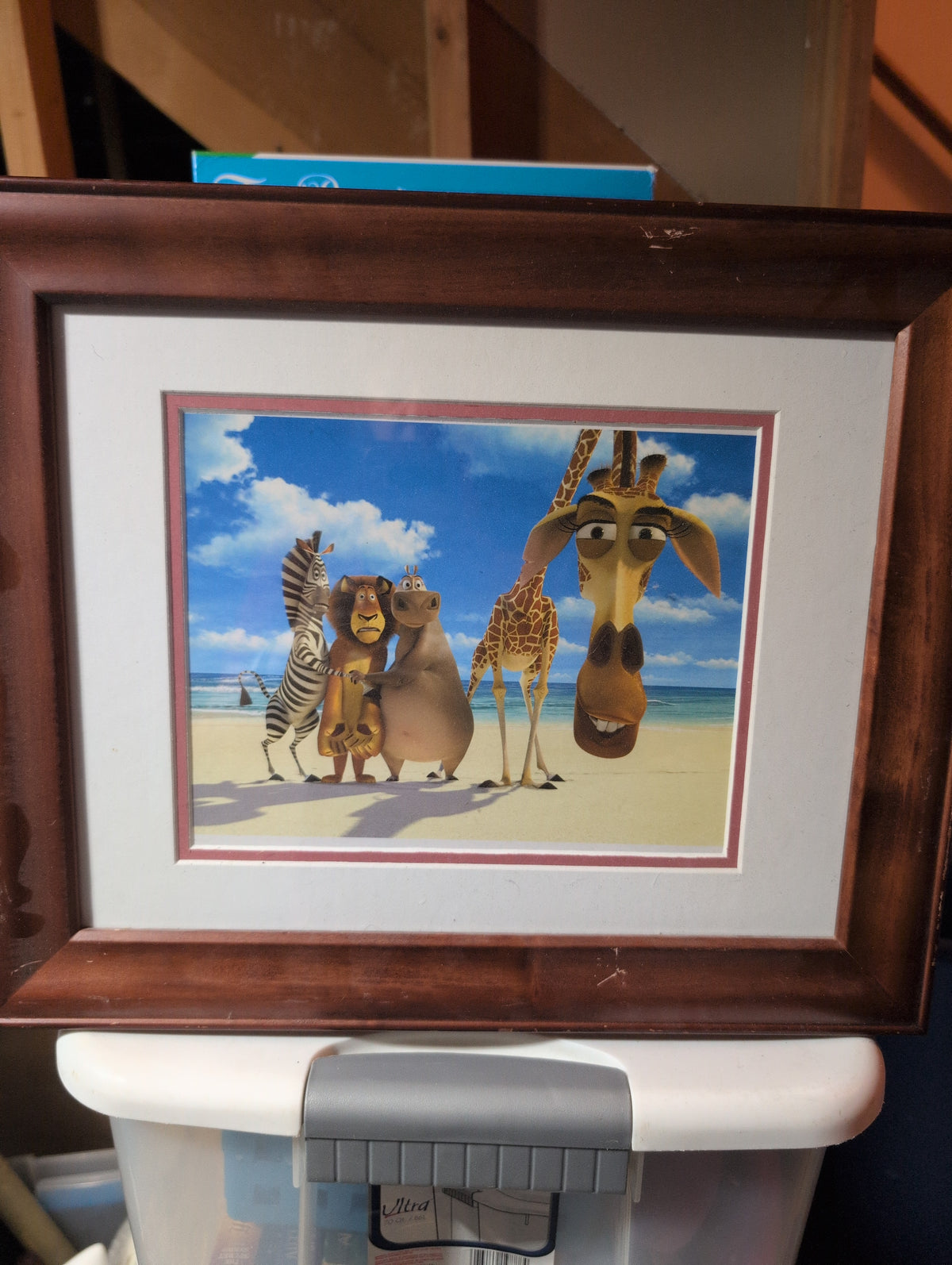 Madagascar print Framed
