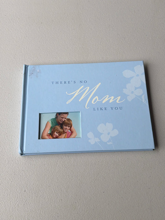 NEW there is no mom Like you book