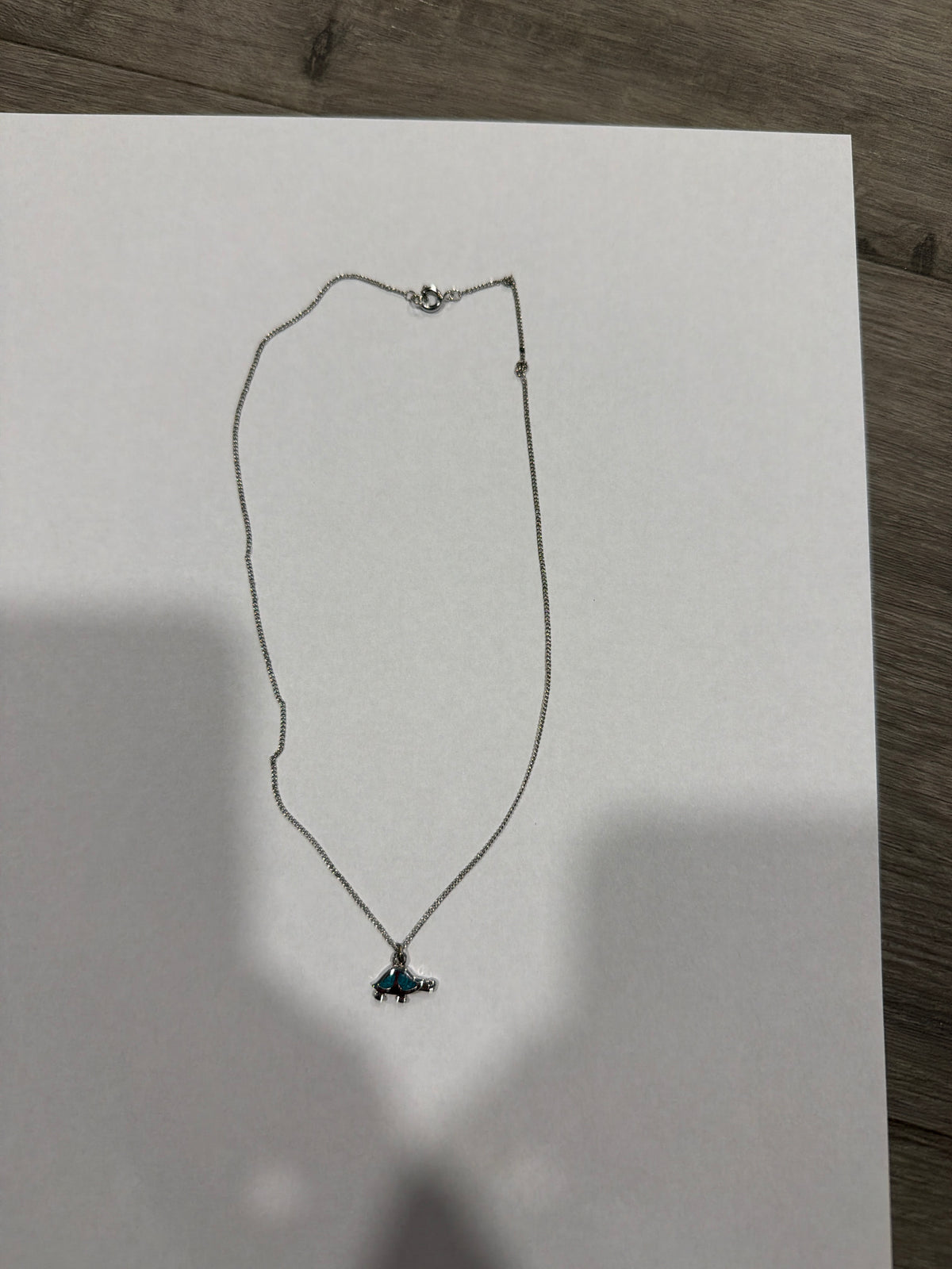 Turtle necklace