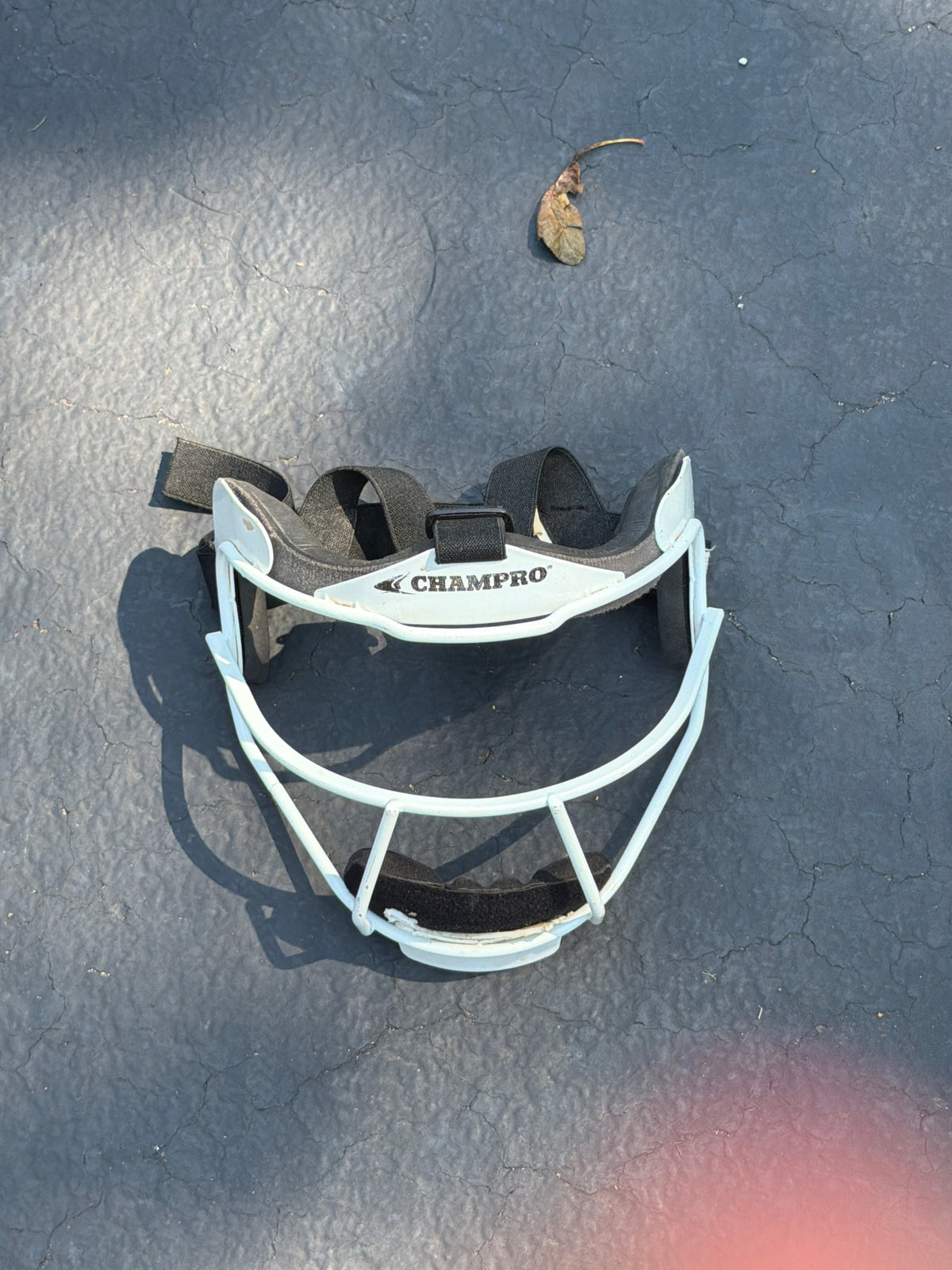 Softball face mask
