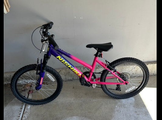 Nishiki 20 inch girl's Bike, like new, 3X used