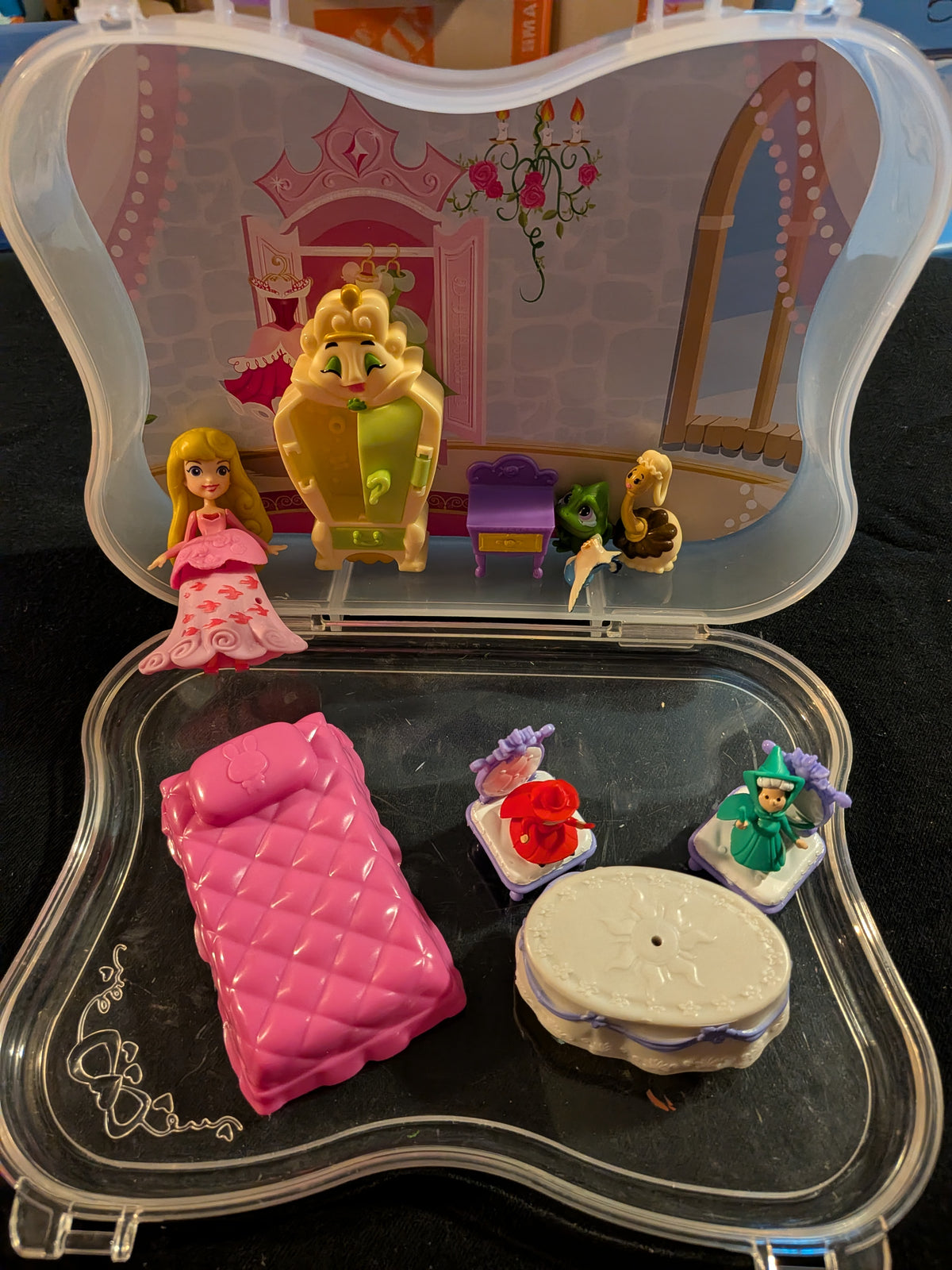Tiny princess & accessories in case