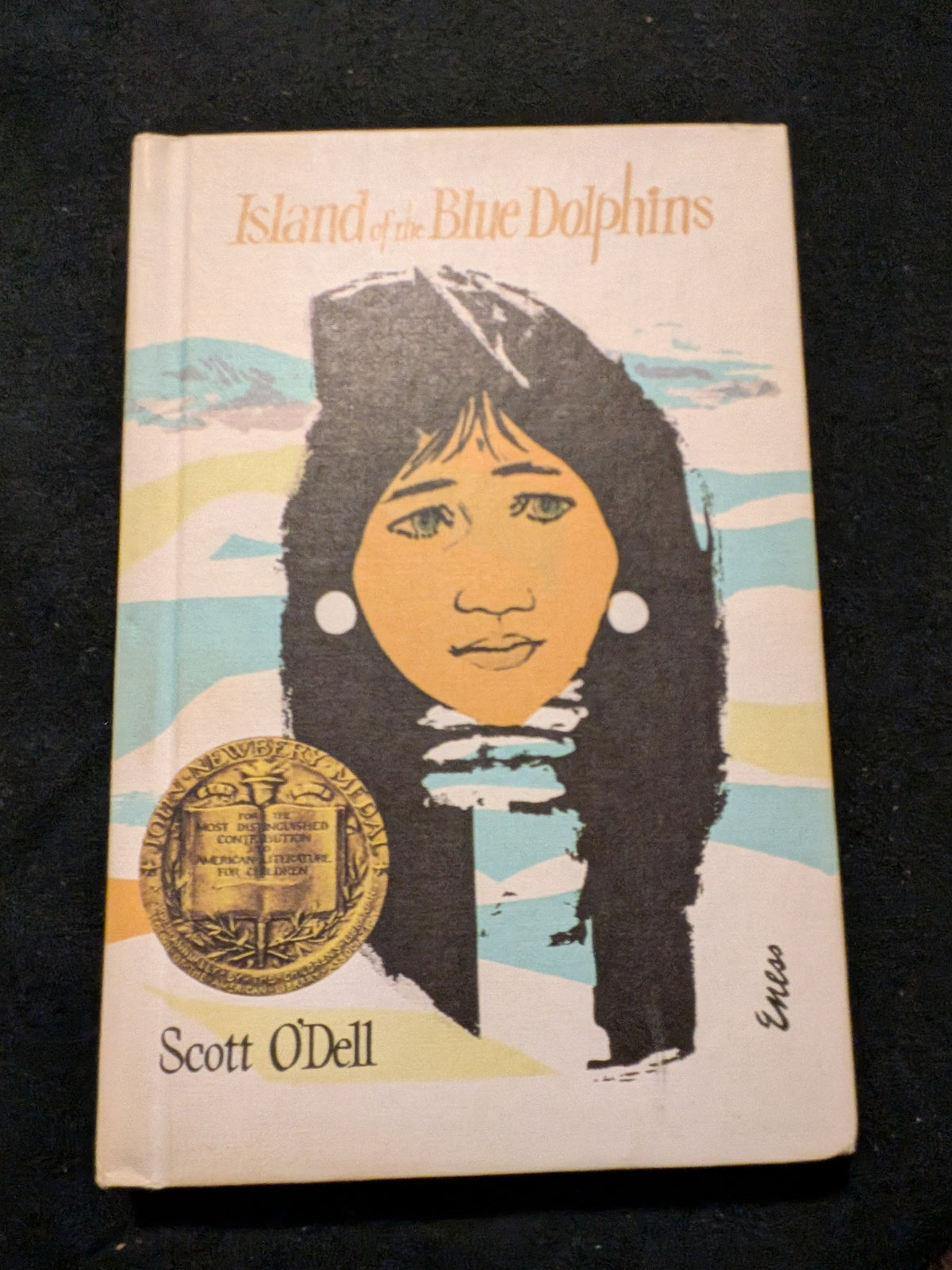 I learned of the Blue Dolphin- hardcover