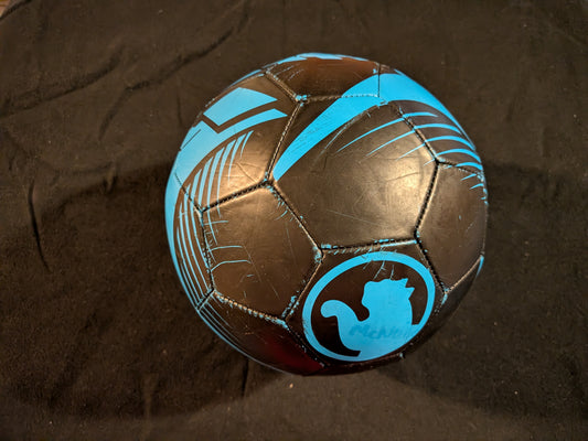 Size 4 Soccer Ball Good condition