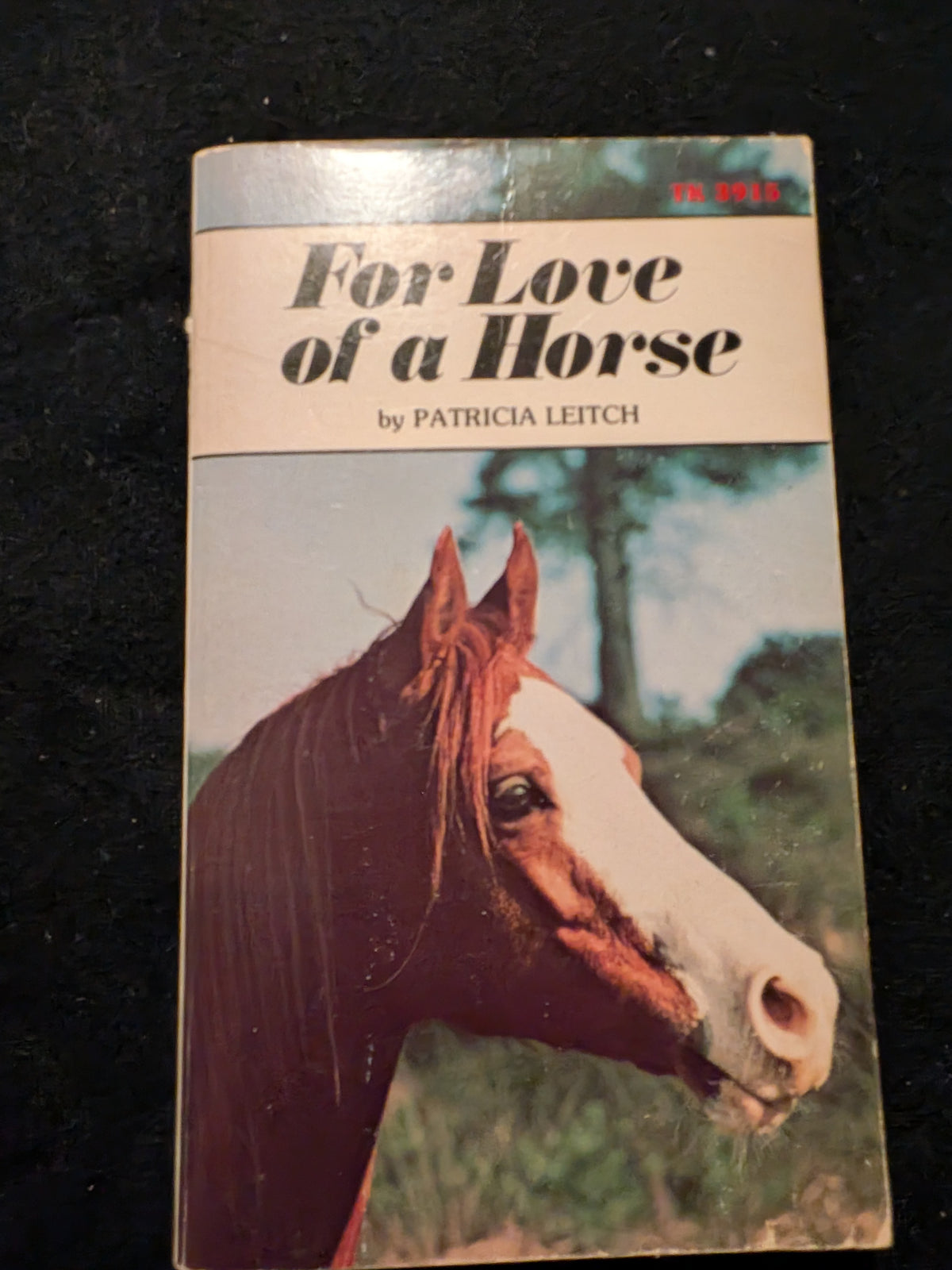 For love of a horse