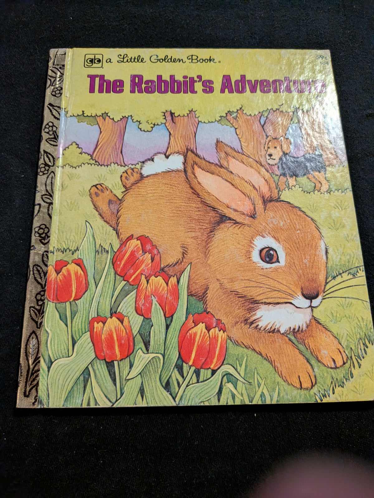 The rabbit's adventure Golden book