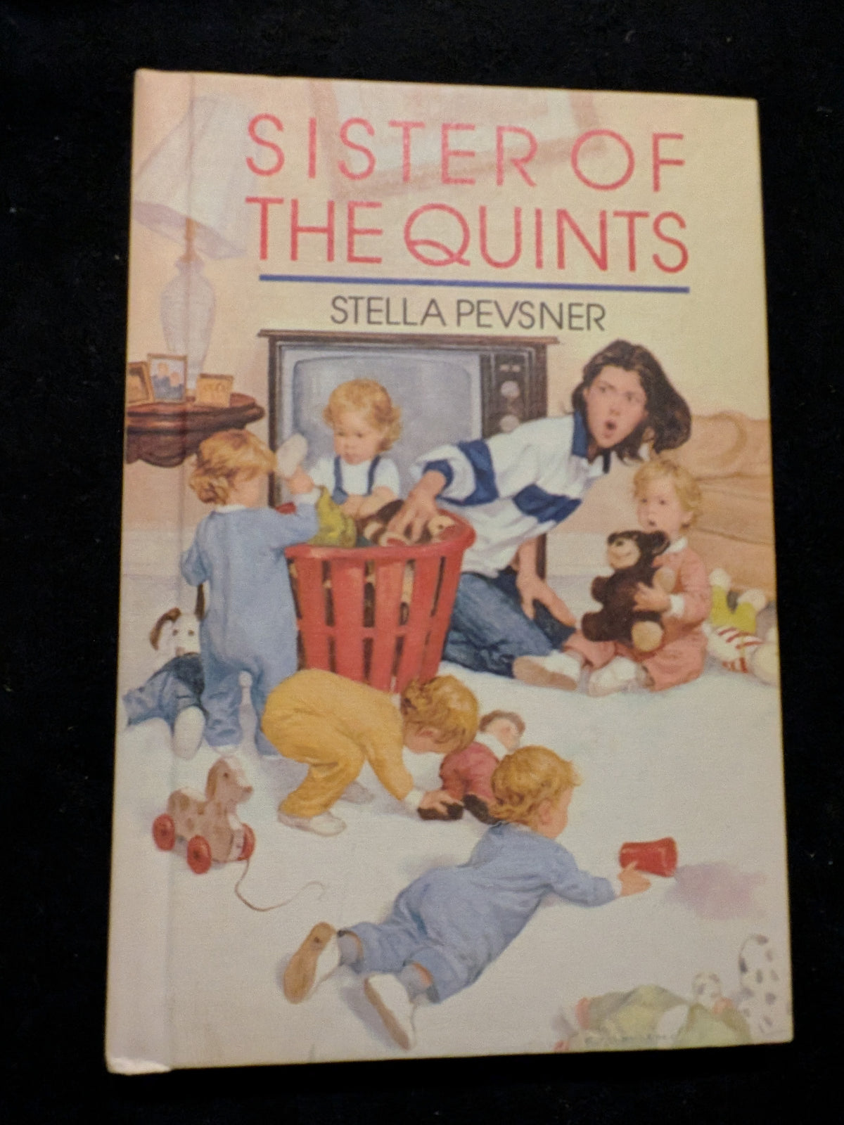 The sister of quints Hardcover