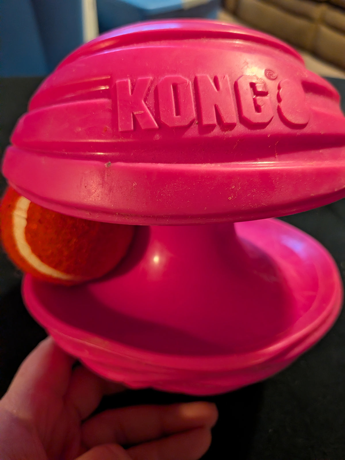 Kong toy Game with tennis ball
