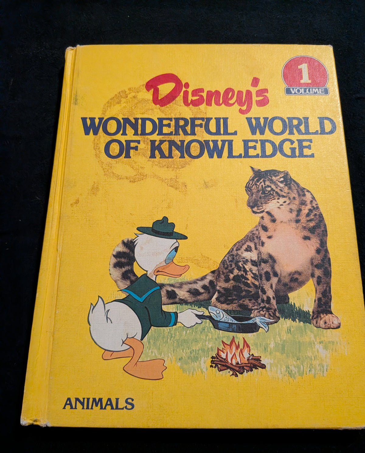 Disney's wonderful World of knowledge