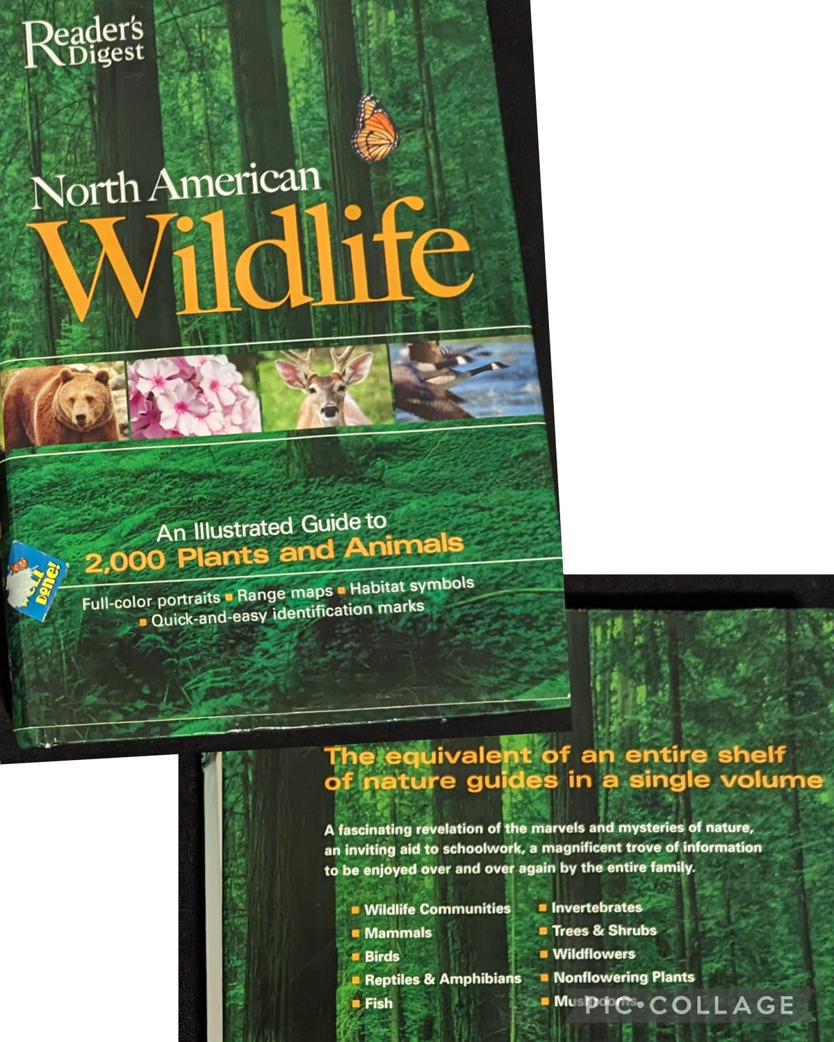 NA Wildlife hardcover VGUC Illustrated Guide