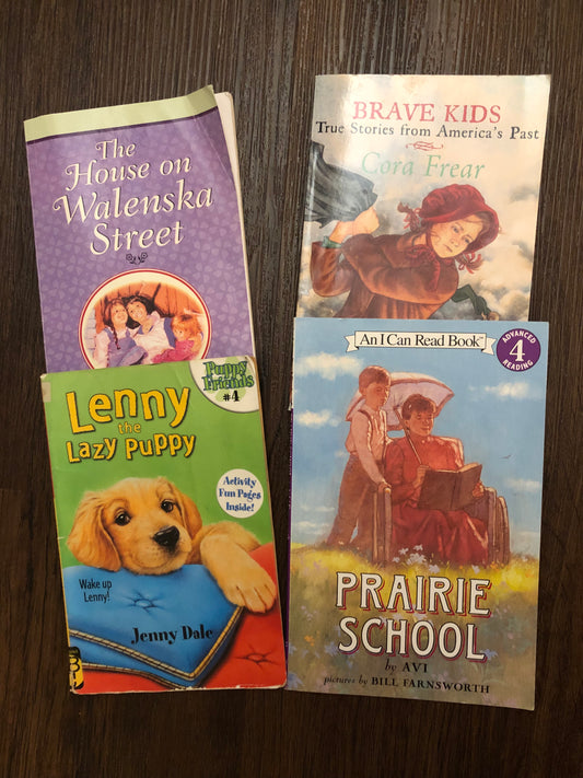 Set of 4 books Prairie school