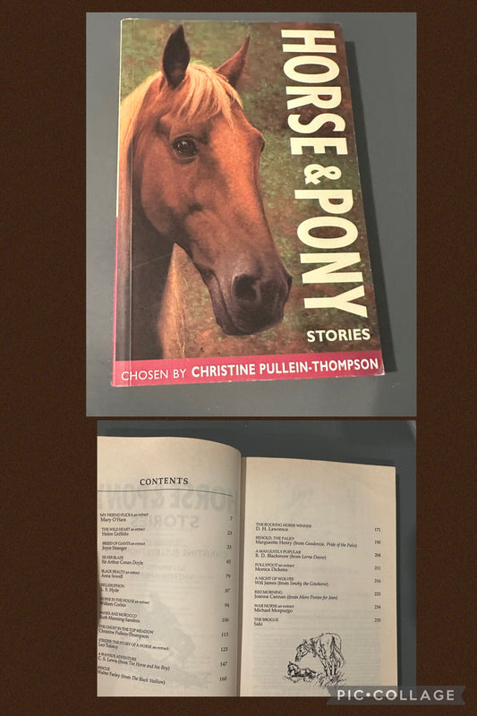 Horse and pony stories EUC, 250+ pages