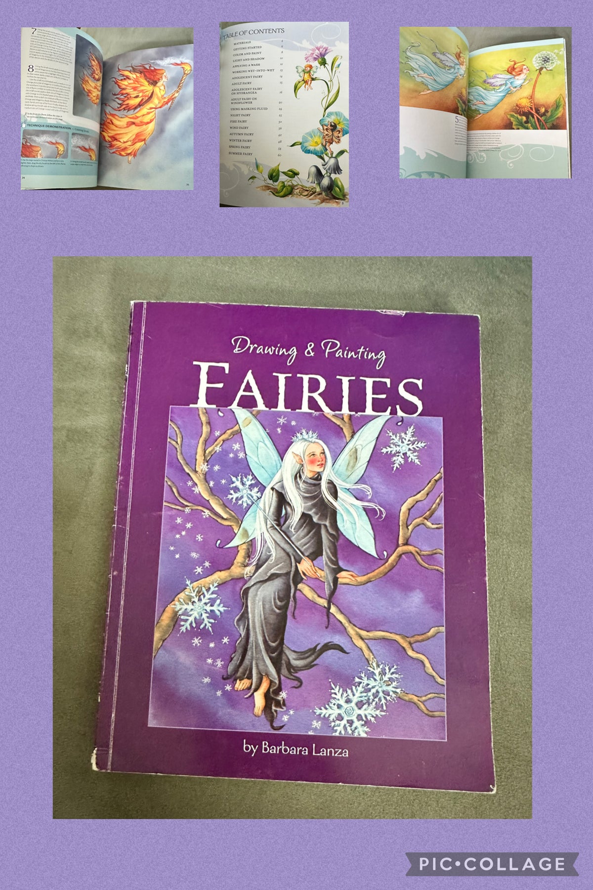 Draw & Paint fairies