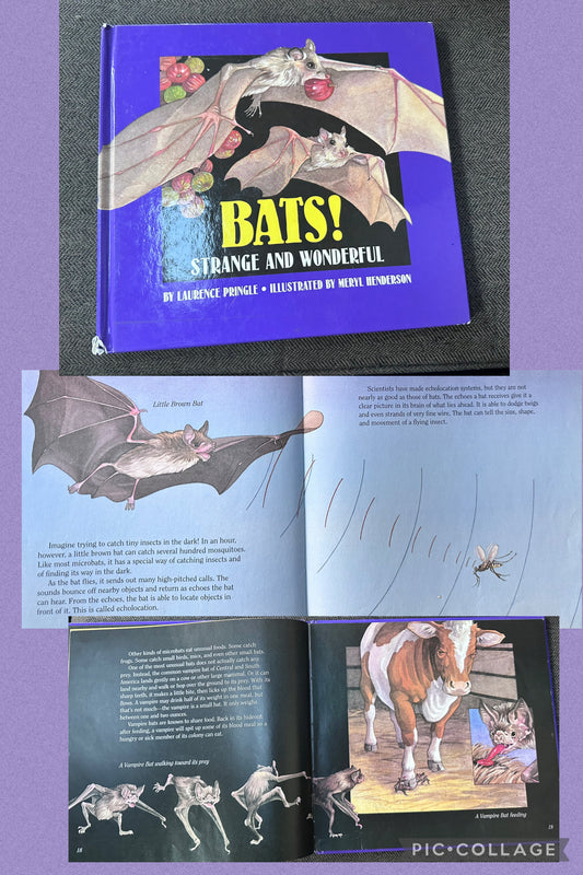 Bats Strange & wonderful Older elementary