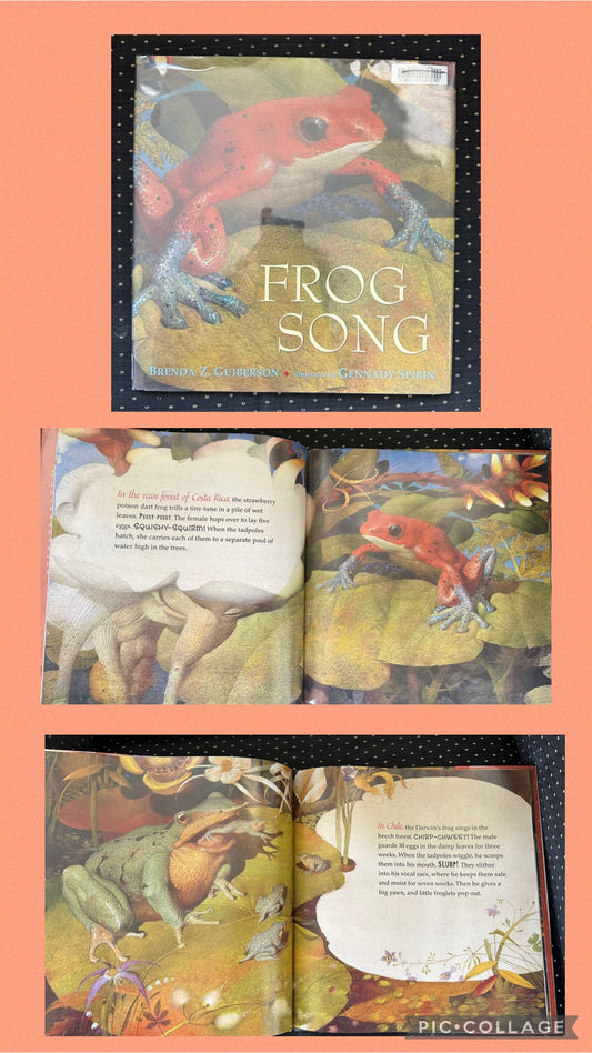 Frog Song VGUC Withdrawn library book