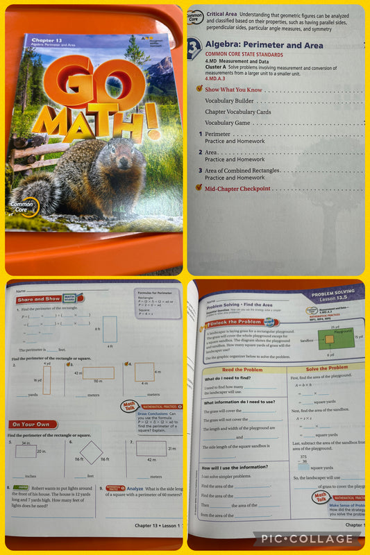 New go math workbook Area & perimeter 4th grd