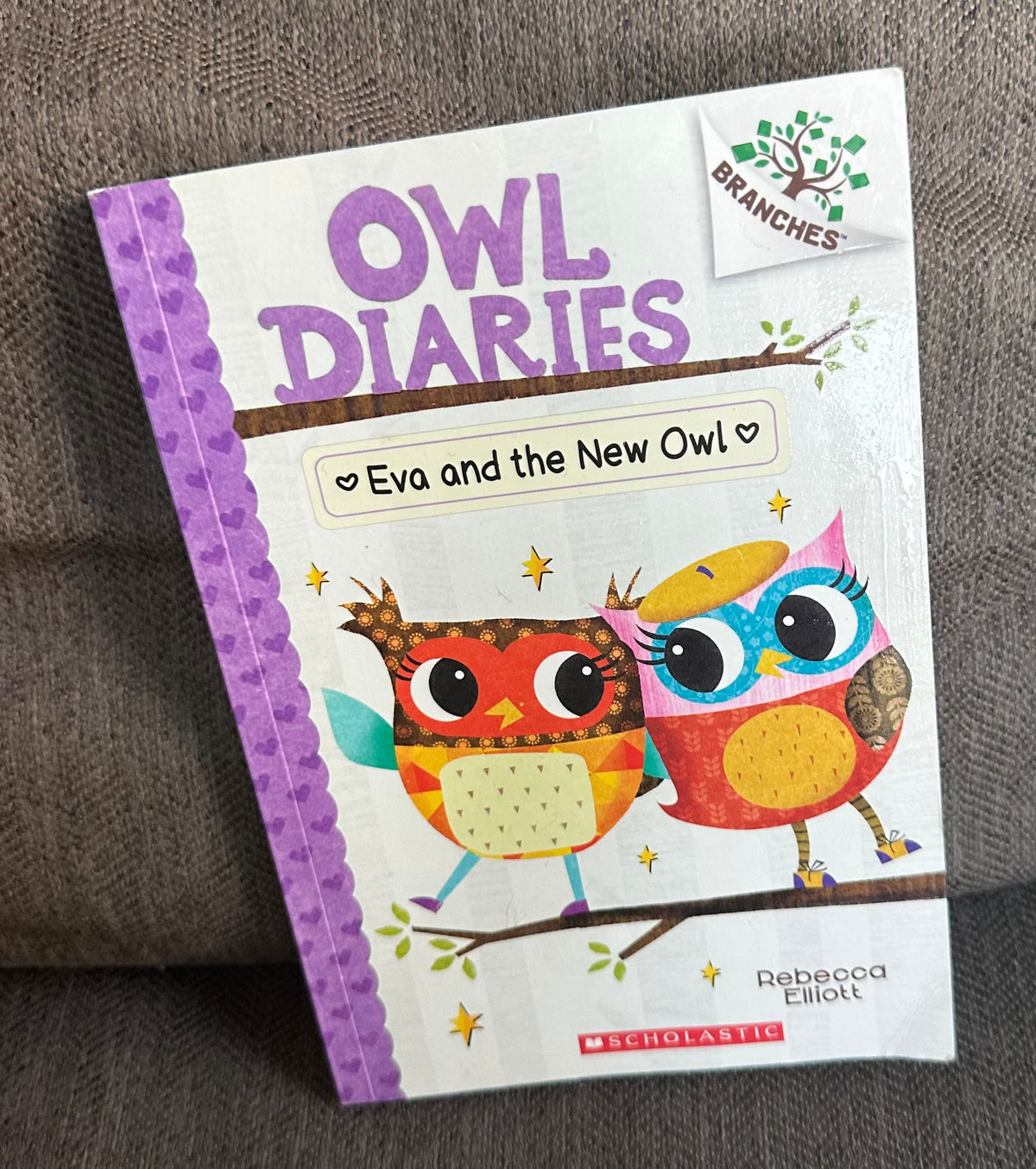 Owl Dairies  Eva new owl