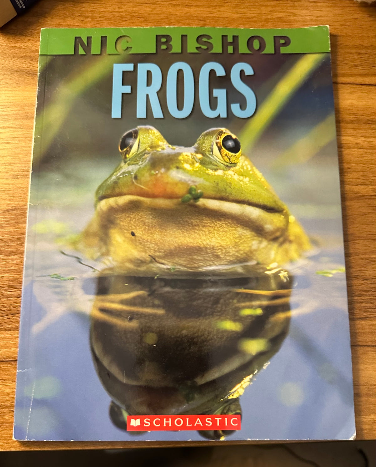 Frogs lots of details! By bishop 47 pgs