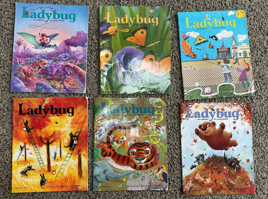 6 ladybug Magazines