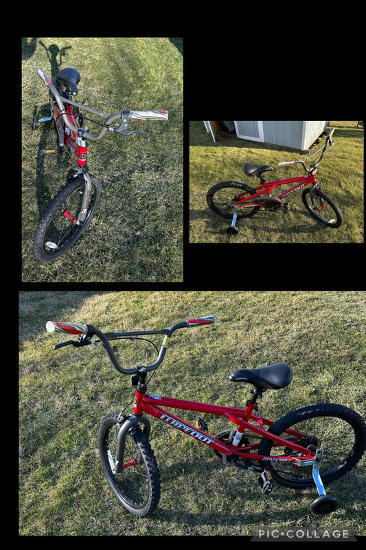 20 inch dynocraft bike EUC, gently rode, bought