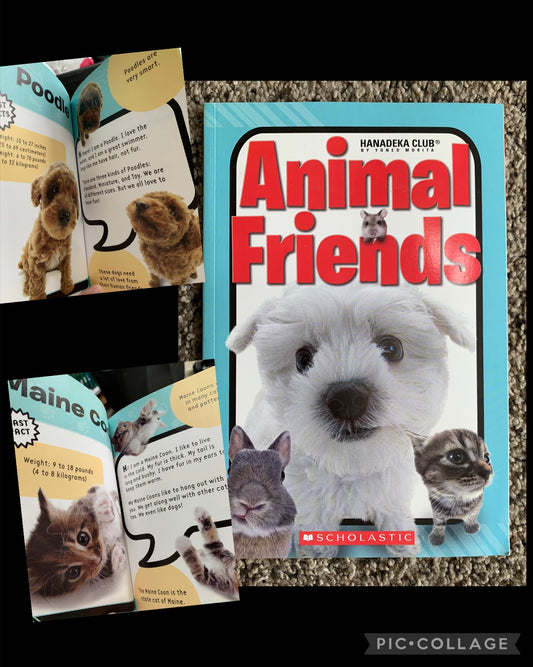 Animal Friends like new Early Elementary reading