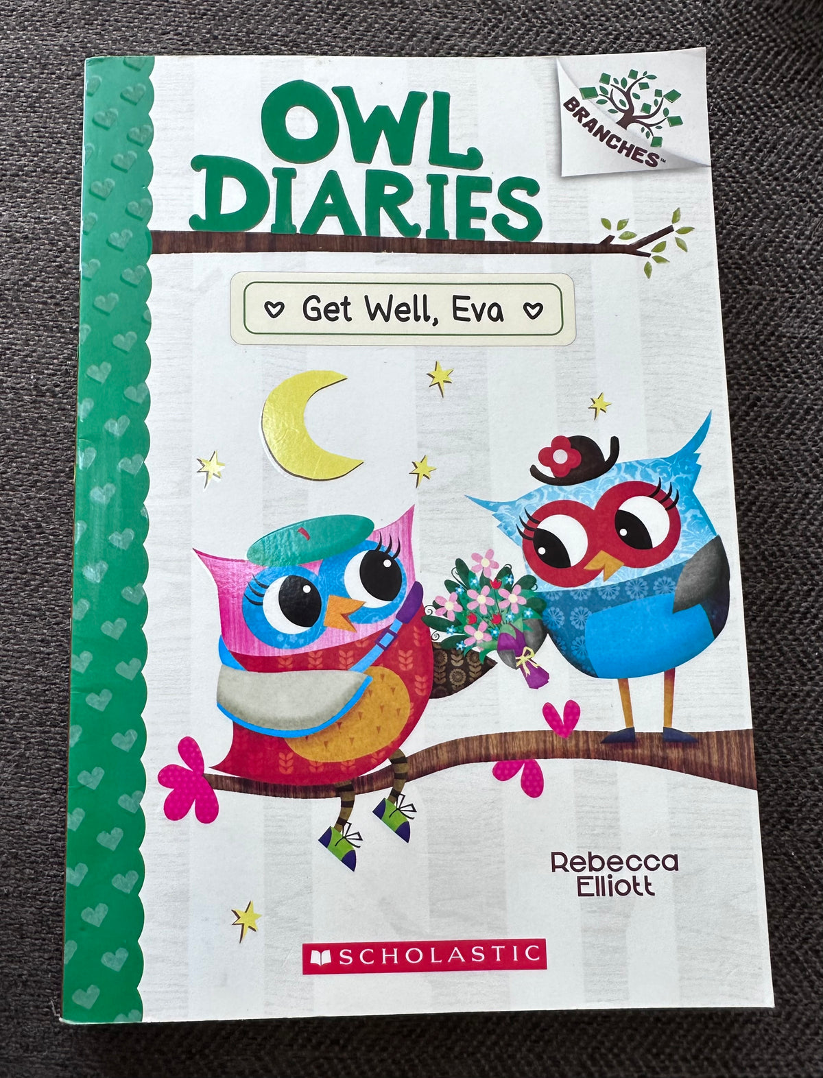 Owl Diaries #16 like new Get well, Eva