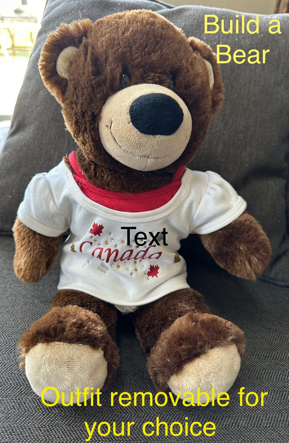 Build a bear Bear Canada like new conditio