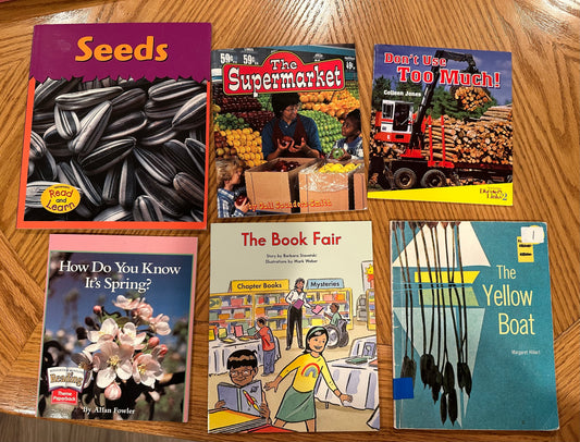6 early readers k-2nd early intervention books