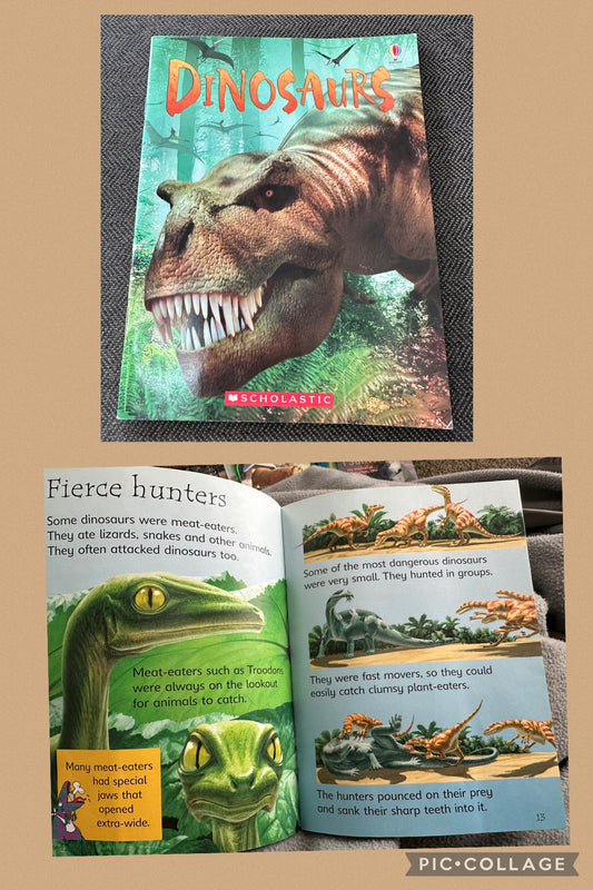Dinosaurs scholastic 30p Cover creases, good cond