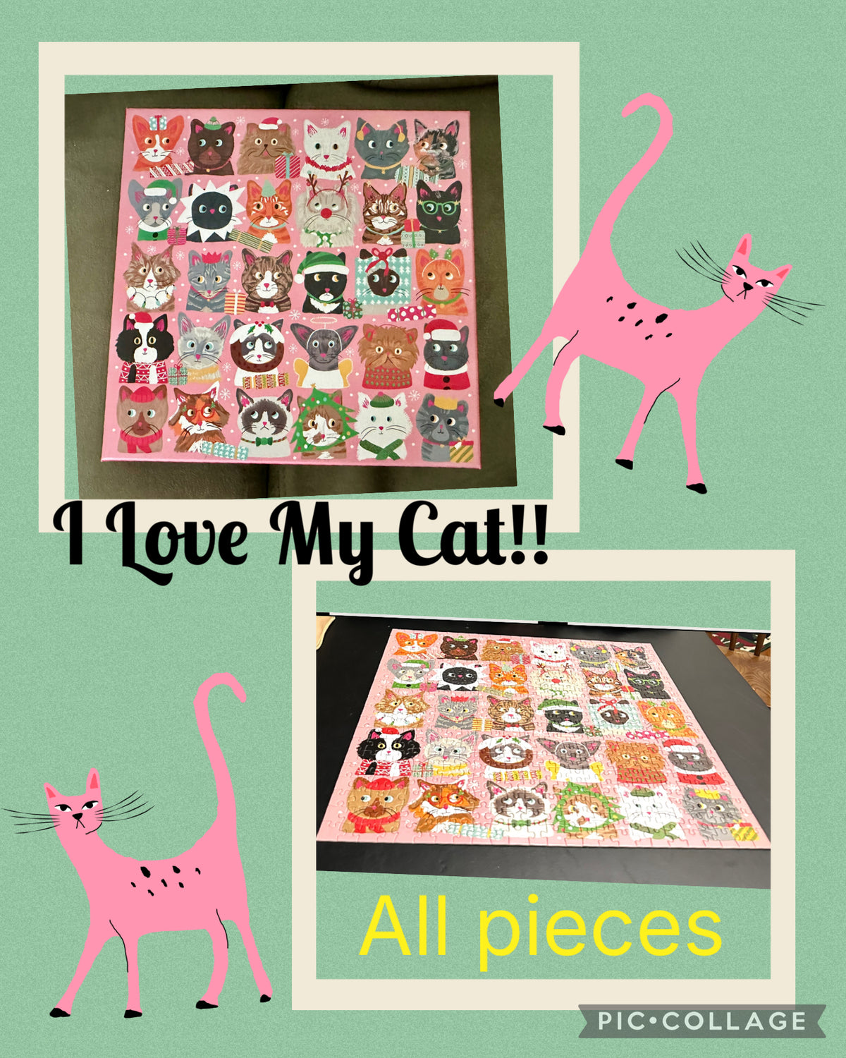 500 piece Christmas cat Puzzle excellent cond.