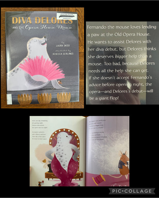 Diva Delores like new withdrawn library book