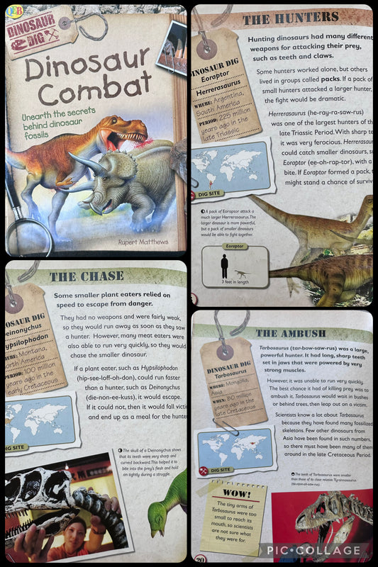 Dinosaur combat 32 pgs Mid- older elementary