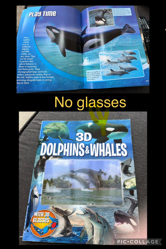 3d dolphins & whales Mid Elementary info