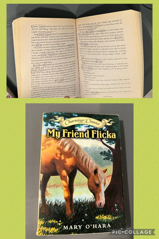 Book My Friend Flicka Names circled all pages