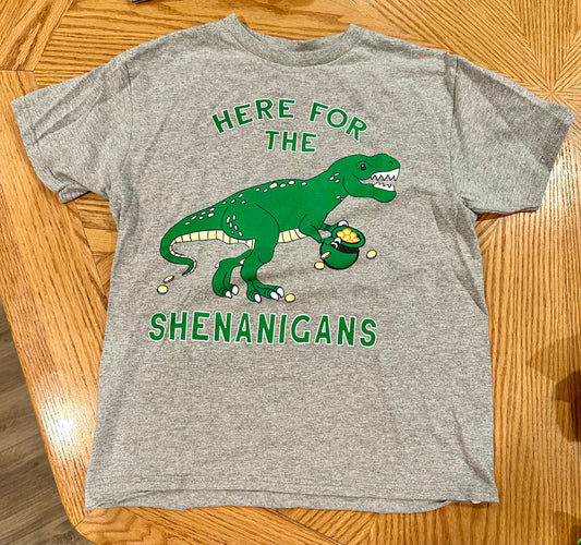 8/10 dinosaur st Patrick Excellent cond - size Youth - 8 (M)