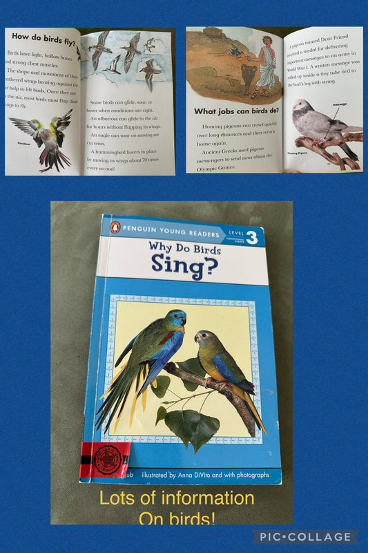 Why do birds sing